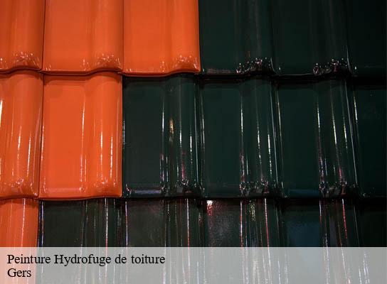 Peinture Hydrofuge de toiture 32 Gers  Duculty Rénov