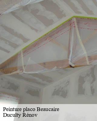 Peinture placo  beaucaire-32410 Duculty Rénov