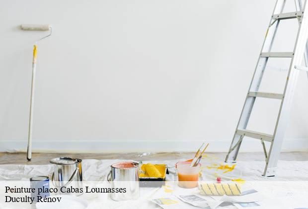Peinture placo  cabas-loumasses-32140 Duculty Rénov