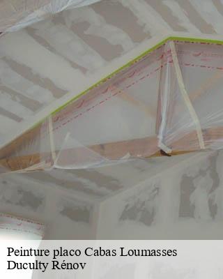 Peinture placo  cabas-loumasses-32140 Duculty Rénov