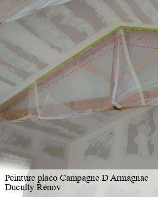 Peinture placo  campagne-d-armagnac-32800 Duculty Rénov