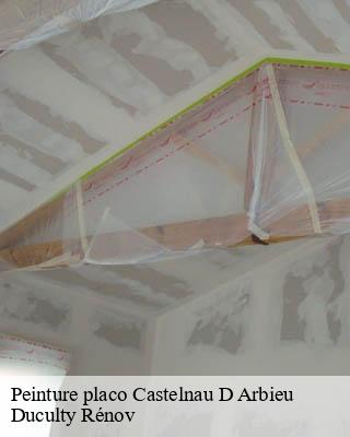 Peinture placo  castelnau-d-arbieu-32500 Duculty Rénov