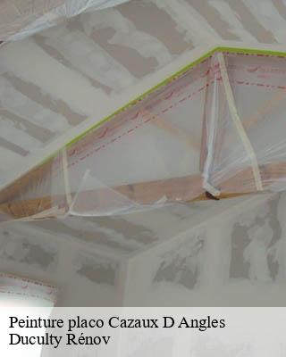 Peinture placo  cazaux-d-angles-32190 Duculty Rénov