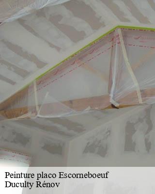 Peinture placo  escorneboeuf-32200 Duculty Rénov