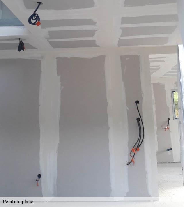 Peinture placo  jegun-32360 Duculty Rénov
