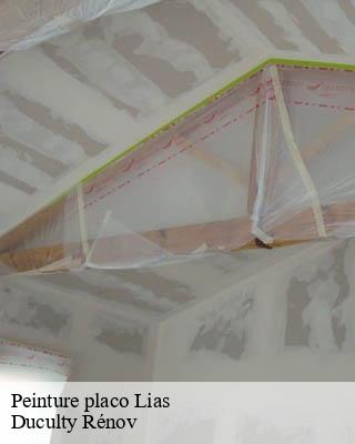 Peinture placo  lias-32600 Duculty Rénov