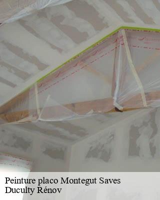 Peinture placo  montegut-saves-32220 Duculty Rénov