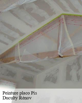 Peinture placo  pis-32500 Duculty Rénov