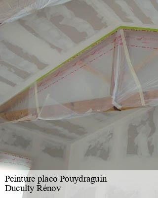 Peinture placo  pouydraguin-32290 Duculty Rénov