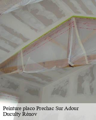 Peinture placo  prechac-sur-adour-32160 Duculty Rénov