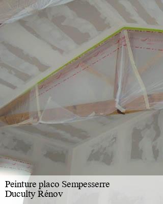 Peinture placo  sempesserre-32700 Duculty Rénov