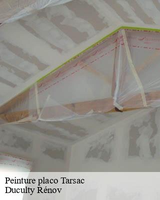 Peinture placo  tarsac-32400 Duculty Rénov