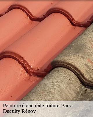 Peinture étanchéité toiture  bars-32300 Duculty Rénov