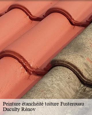 Peinture étanchéité toiture  fusterouau-32400 Duculty Rénov