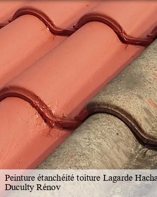 Peinture étanchéité toiture  lagarde-hachan-32300 Duculty Rénov