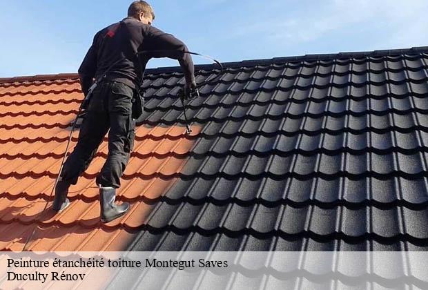 Peinture étanchéité toiture  montegut-saves-32220 Duculty Rénov
