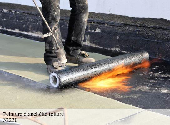 Peinture étanchéité toiture  montegut-saves-32220 Duculty Rénov