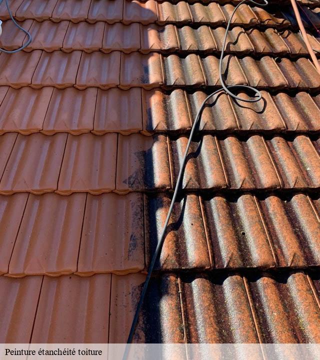Peinture étanchéité toiture  montegut-saves-32220 Duculty Rénov