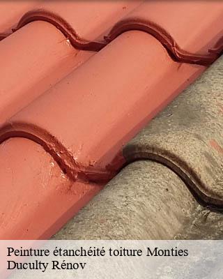 Peinture étanchéité toiture  monties-32420 Duculty Rénov