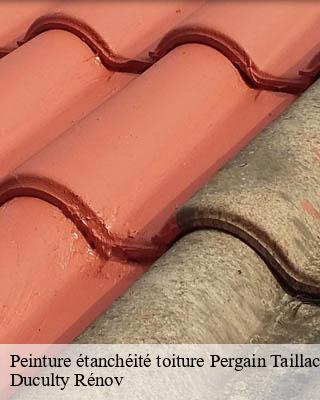 Peinture étanchéité toiture  pergain-taillac-32700 Duculty Rénov