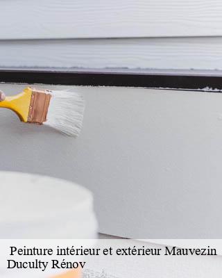  Peinture intérieur et extérieur  mauvezin-32120 Duculty Rénov