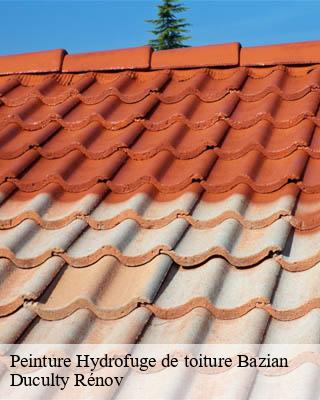 Peinture Hydrofuge de toiture  bazian-32320 Duculty Rénov