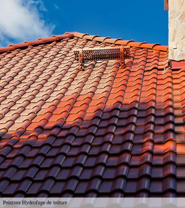 Peinture Hydrofuge de toiture  castelnau-d-auzan-32440 Duculty Rénov