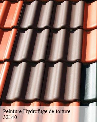 Peinture Hydrofuge de toiture chelan-32140 Duculty Rénov