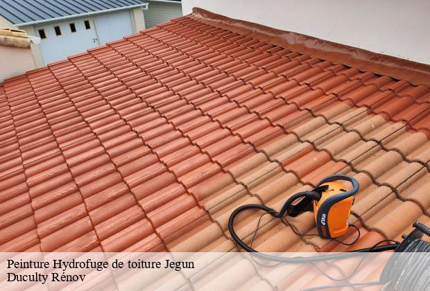 Peinture Hydrofuge de toiture  jegun-32360 Duculty Rénov