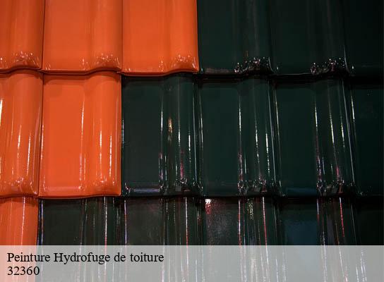 Peinture Hydrofuge de toiture  jegun-32360 Duculty Rénov