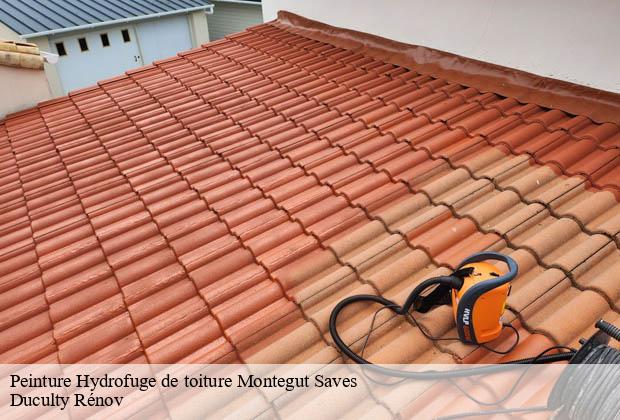 Peinture Hydrofuge de toiture  montegut-saves-32220 Duculty Rénov