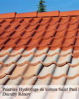 Peinture Hydrofuge de toiture saint-paul-de-baise-32190 Duculty Rénov