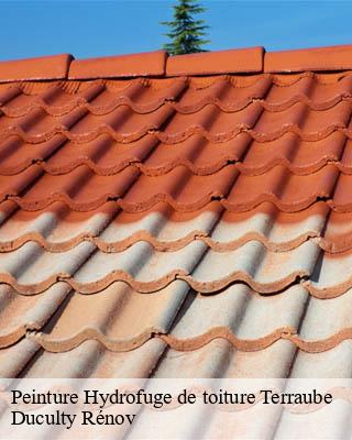 Peinture Hydrofuge de toiture  terraube-32700 Duculty Rénov