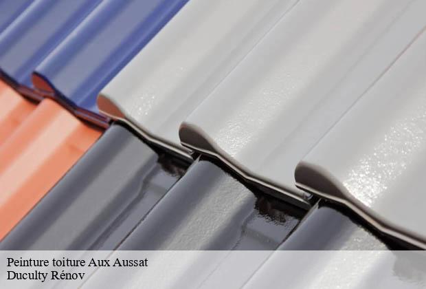 Peinture toiture  aux-aussat-32170 Duculty Rénov