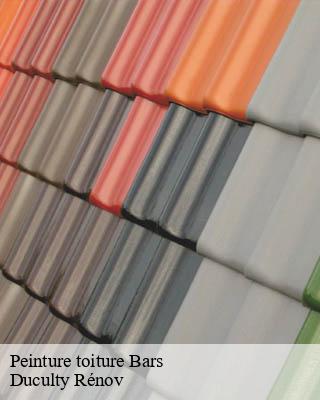 Peinture toiture  bars-32300 Duculty Rénov