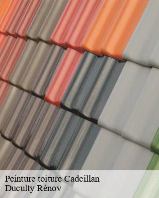 Peinture toiture cadeillan-32220 Duculty Rénov