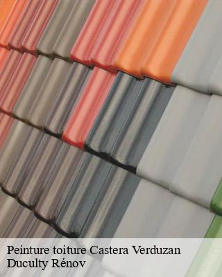 Peinture toiture  castera-verduzan-32410 Duculty Rénov