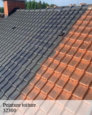Peinture toiture  idrac-respailles-32300 Duculty Rénov
