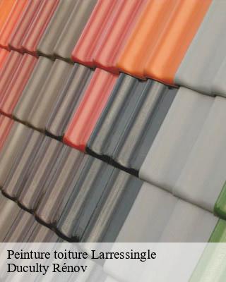 Peinture toiture  larressingle-32100 Duculty Rénov