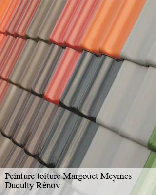 Peinture toiture  margouet-meymes-32290 Duculty Rénov