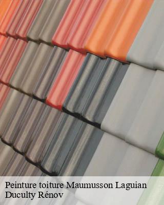Peinture toiture  maumusson-laguian-32400 Duculty Rénov