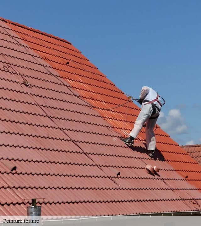 Peinture toiture  montegut-saves-32220 Duculty Rénov