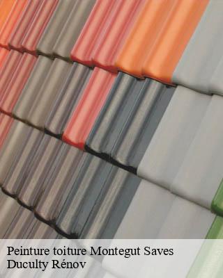 Peinture toiture  montegut-saves-32220 Duculty Rénov