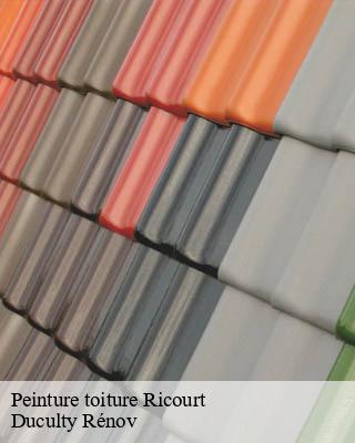 Peinture toiture ricourt-32230 Duculty Rénov