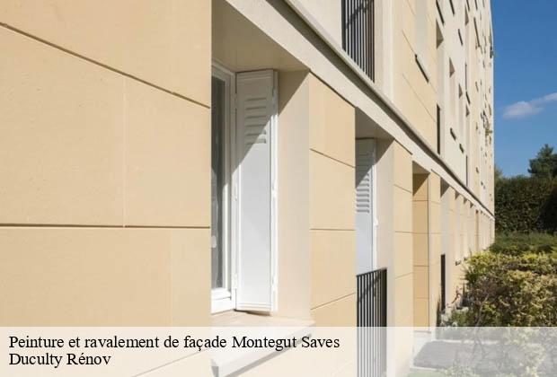 Peinture et ravalement de façade  montegut-saves-32220 Duculty Rénov